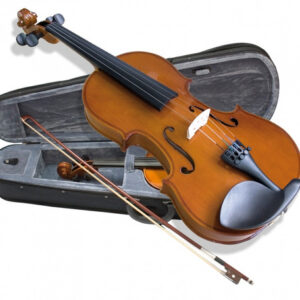 VIOLIN VALENCIA V160 4/4