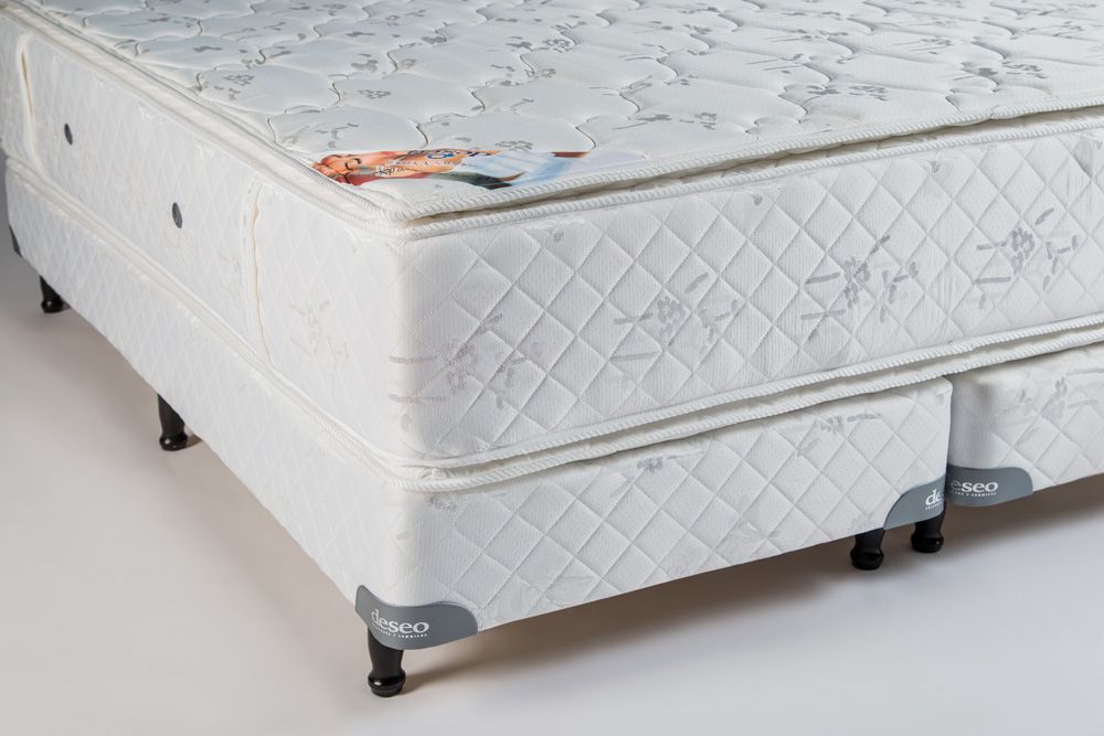 httpsdeseogrupocolorcomarwp-contentuploads201711rubi2jpg_38f6e07467_es