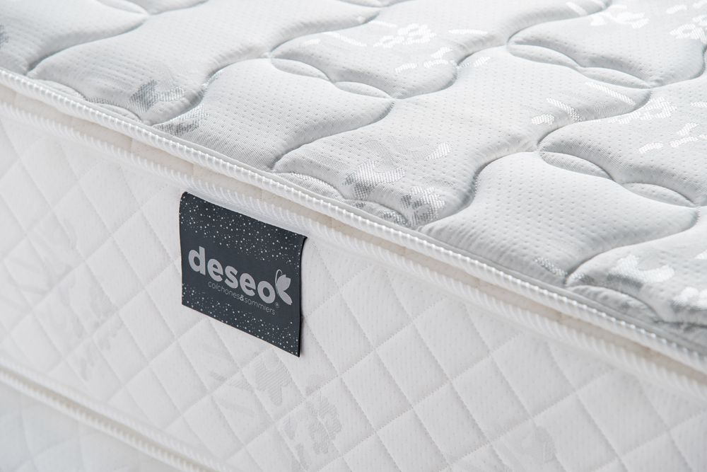 httpsdeseogrupocolorcomarwp-contentuploads201711rubi2jpg_632c70de65_es