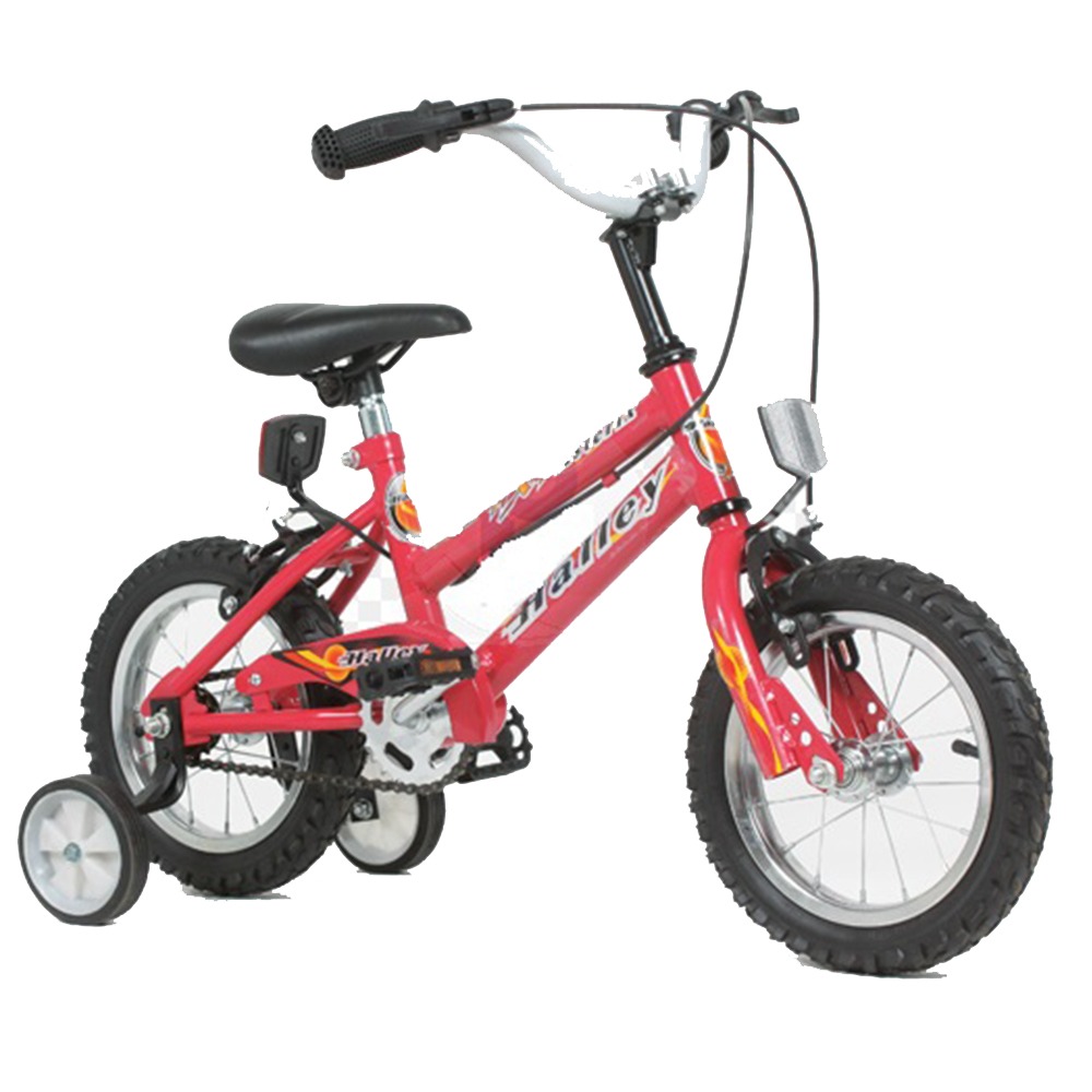 BICICLETA HALLEY ROD 12 RAYOS - Imagen 2