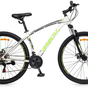 BICICLETA GRIBOM 2952 ROD 29