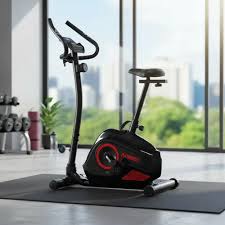 BICICLETA MAGNETICA RANDERS 456
